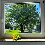 Modernes In 24h Check-in Terrasse Mit Blick Ins Gruene Privater Parkplatz Freudenberg am Main